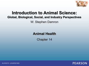 Animal Health