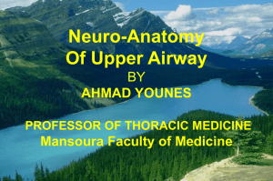 Neuro-anatomy of Upper Airway