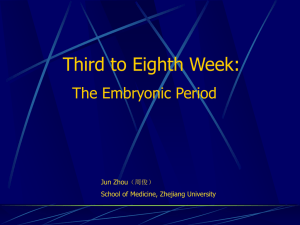 2.germ disc differentiation(20160108).