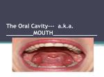The Oral Cavity--- aka