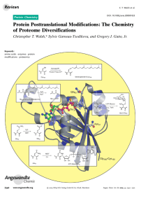 Protein Posttranslational Modifications: The Chemistry of Proteome
