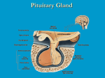 Biol 155 Human Physiology