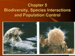 Chapter 5 Biodiversity,Species Interactions2009