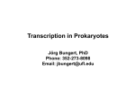 Transcription in Prokaryotes