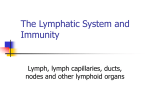 The Lymphatic System Immunity