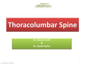 Thoracolumbar Spine