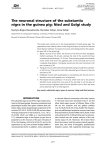 The neuronal structure of the substantia nigra in the guinea pig