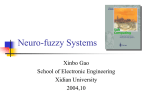 Neuro-fuzzy systems