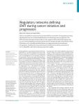 Regulatory networks defining EMT during cancer initiation and