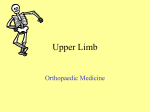 Upper Limb - Bradfordvts