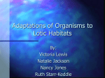 Adaptations of Organisms to Lotic Habitats