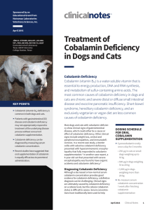 Treatment of Cobalamin Deficiency in Dogs and Cats