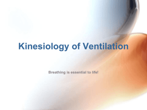 Kinesiology of Ventilation