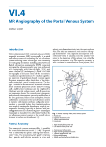 MR Angiography of the Portal Venous System