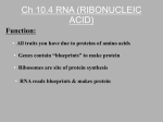 rna (ribonucleic acid) - Social Circle City Schools