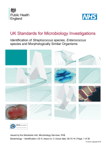 Identification of Streptococcus species, Enterococcus species and