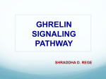 GHRELIN SIGNALING PATHWAY
