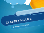 classifying life