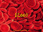 Red blood cells - Net Start Class