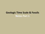 Fossils-Geologic