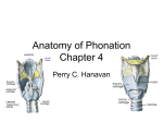 Anatomy of Phonation Chapter 5