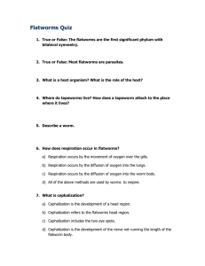 Flatworms Quiz - cloudfront.net