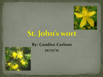 What is St. John`s Wort?