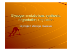 Glycogen metabolism: synthesis, degradation, regulation