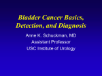 Bladder Cancer Basics, Detection, And Diagnosis