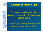 Census of Marine Life - Centre for Marine Biodiversity