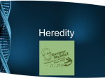 Heredity (1)