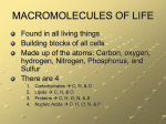 MACROMOLECULES OF LIFE