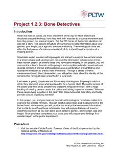 P1.2.3.BoneDetectives