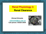 (Renal Clearance)