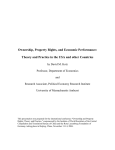 Ownership, Property Rights, and Economic Performance: Theory