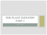 The Plant Industry