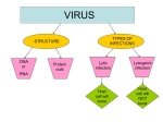 STRUCTURE TYPES OF INFECTIONS DNA or RNA Protein coat