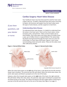 Cardiac Surgery: Heart Valve Disease