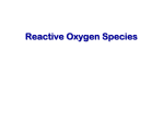 Reactive Oxygen Species