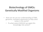 GMOs: Genetically Modified Organisms