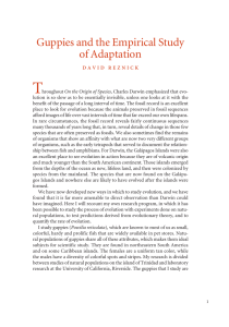 Guppies and the Empirical Study of Adaptation