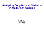 Analyzing Copy Number Variation in the Human Genome