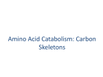 4.Lect Carbon skeleton intro