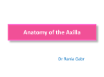 5-Anatomy of the Axilla (1)
