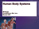 Human Body Systems - Fall River Public Schools