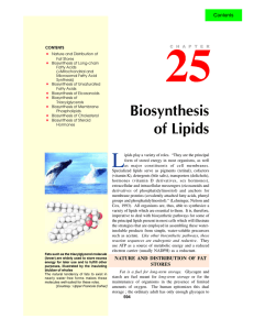 25. biosynthesis of lipids