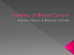 Genetics of Breast Cancer Updated