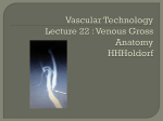 vascular-technology-lecture-22-venous-gross