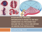 In eukaryotes, heritable information is passed to the next generation