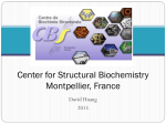 Huang, David, Center for Structural Biochemistry